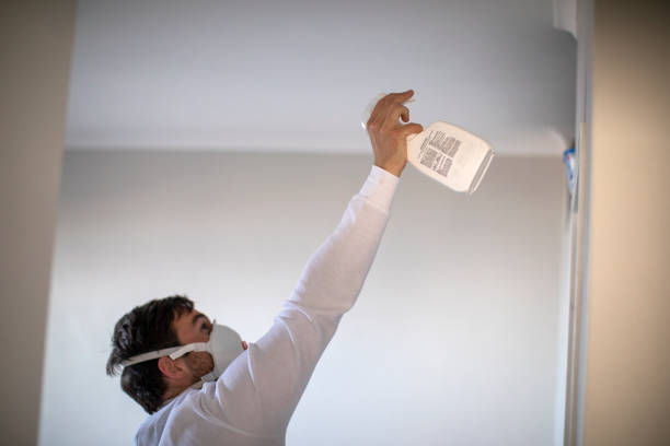Best Attic Mold Removal  in Cetronia, PA