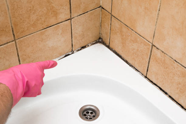 Best Residential Mold Removal  in Cetronia, PA